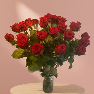 Red Naomi / €6.00 per stem