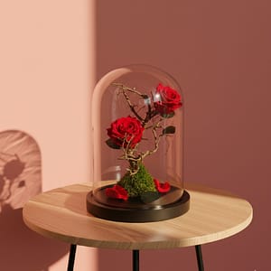 Double Infinity Rose