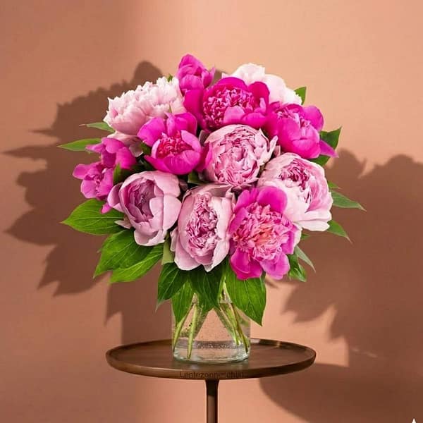 Roze Pioenrozen Mix